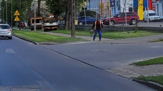 Pierwsze drogowe sianokosy. I ten... zapach