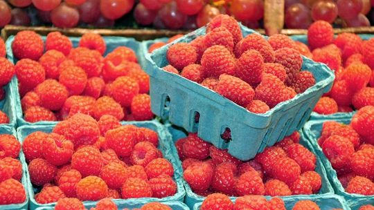 Szokujące ceny pierwszych polskich malin. Sprzedaż w małych porcjach dla osób ciekawych smaku