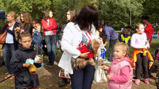 Piknik z psem pełen atrakcji