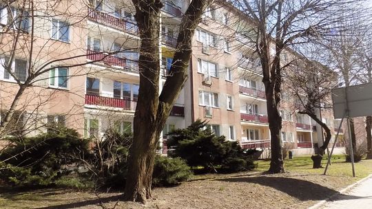 Piszą i czekają na reakcję