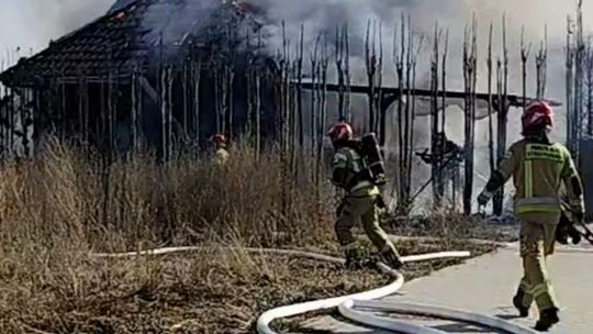 Plaga pożarów traw w powiecie gryfińskim. Raport straży pożarnej z przełomu marca i kwietnia 2026 Plaga pożarów traw w powiecie gryfińskim. Raport straży pożarnej z przełomu marca i kwietnia 2026