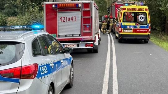 Plagą są plamy na drogach. Raport straży z poczynań w powiecie gryfińskim