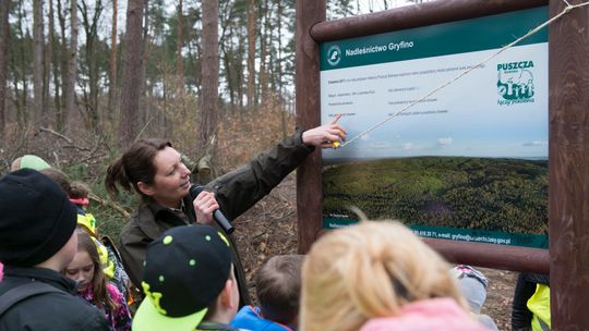 Planują rodzinne sadzenie lasu w Puszczy Bukowej