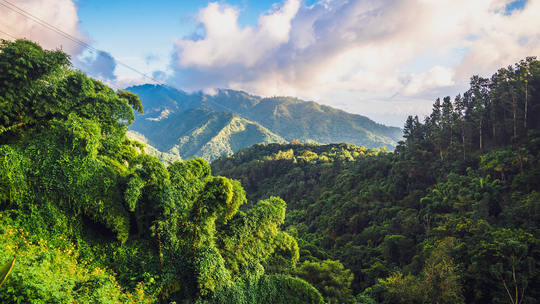 Plaże, muzyka i spokojny karaibski klimat – poznaj Jamajkę