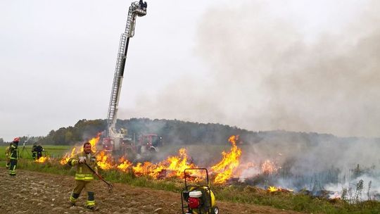 Płoną pola i trawy. Susza daje się we znaki także strażakom