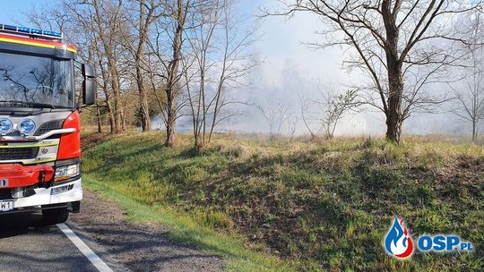 Płonęły trawy przy głównej drodze