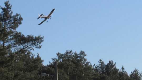 Płonie las pod Chojną. Wykorzystano samoloty gaśnicze