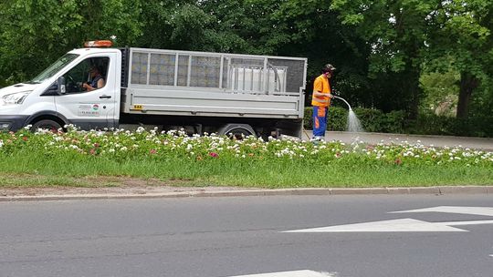 Po co marnują wodę? - pyta czytelniczka Po co marnują wodę? - pyta czytelniczka