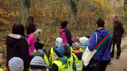 Po co one poszły do tego lasu