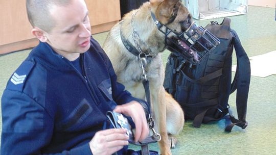 Po co psy pracują w policji i czym dokładnie się zajmują?