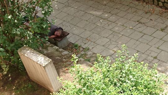 Po deszczu spać się chce...