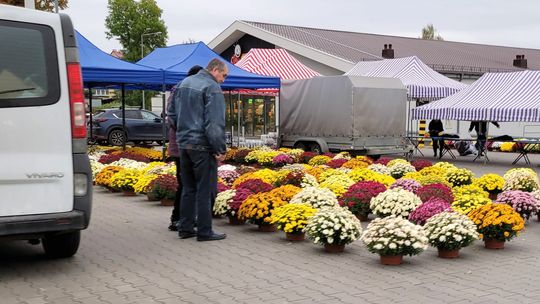 Po ile kwiaty na południu powiatu