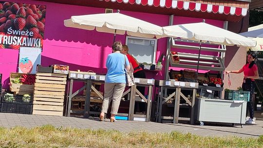 Po ile pod koniec roku szkolnego płacimy za czereśnie i truskawki?