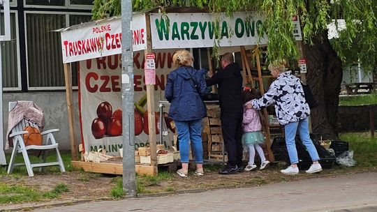 Po ile truskawki po ostatnich mrozach? Czym różnią się polskie truskawki od zagranicznych Po ile truskawki po ostatnich mrozach? Czym różnią się polskie truskawki od zagranicznych