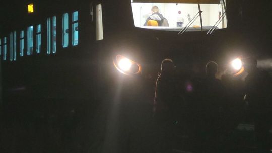 Pociąg potrącił konia. Kolej żąda odszkodowań za straty spowodowane przez zwierzęta gospodarskie