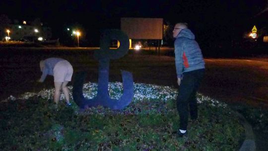 Pod osłoną nocy wyrywali lebiodę [interwencja igryfino]