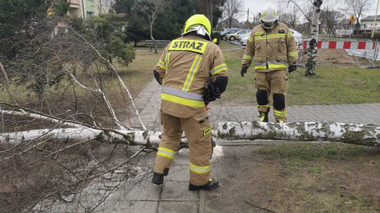 Podłączają agregaty. Dowożą wodę beczkowozami Podłączają agregaty. Dowożą wodę beczkowozami