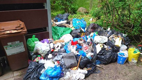 Podrzucają śmieci. Przy śmietnikach szczury, myszy, robale Podrzucają śmieci. Przy śmietnikach szczury, myszy, robale