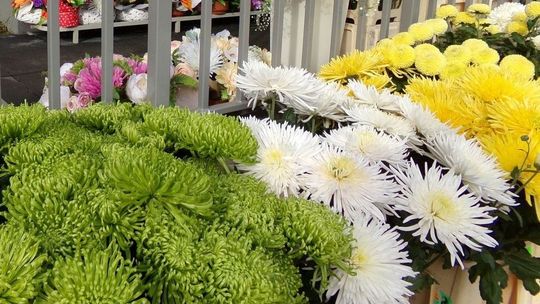 Podziękowanie rodziny za pomoc w poszukiwaniach zaginionej