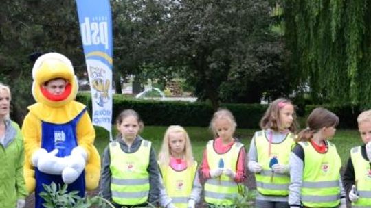 Podziwiajmy kwiaty posadzone przez dzieci