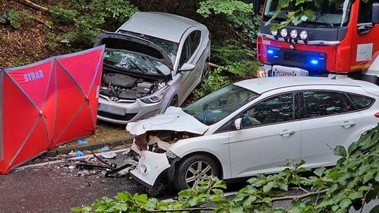 Pojechali wypocząć i jedno z nich nie wróci do domu. Czołowe zderzenie