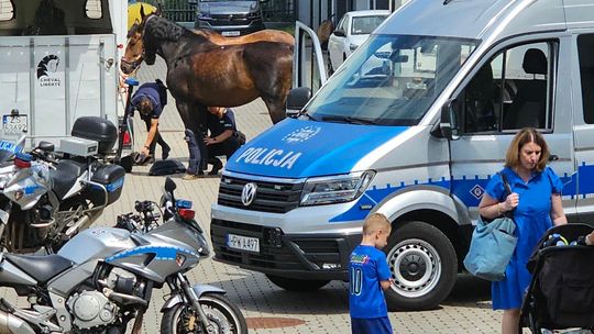 Pokaz sprzętu policyjnego, pojazdów i koni służbowych w Gryfinie. Takie atrakcje czekają na mieszkańców