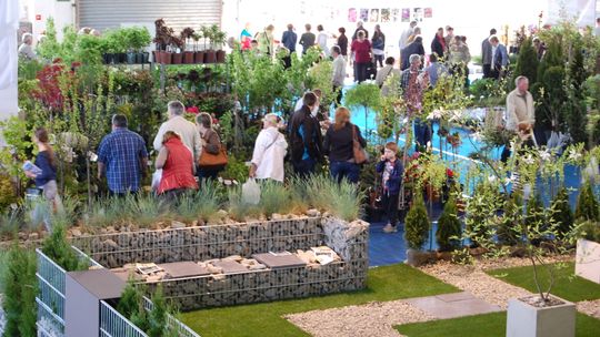 Pokazy grillowania i atrakcje florystyczne