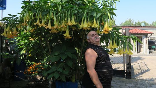 Pokazywano ją w Teleexpressie. Tym razem znowu zaskoczyła