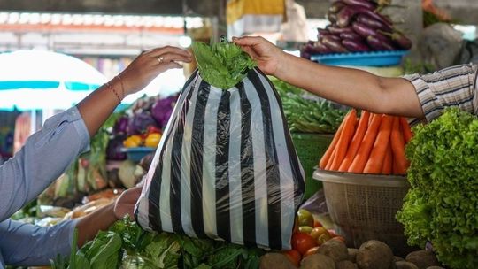 Polskie warzywa i owoce hitem zakupowym. Nowe nawyki żywieniowe Polaków oraz lokalne trendy 2026