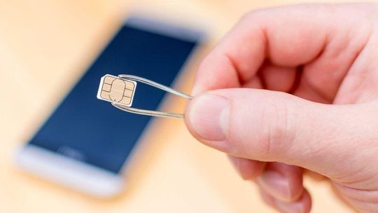 Wielka ucieczka z Plusa i mocny skok T-Mobile: Zobacz najnowszy bilans transferów numerów w Polsce