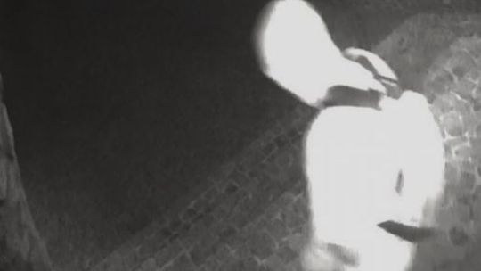 Policja szuka Śpiocha - włamywacza do domów jednorodzinnych