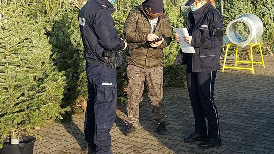 Policjanci kontrolują punkty sprzedaży choinek, ale nie tylko...