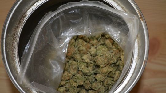 Policjanci znaleźli u niego 77 gram marihuany. Grozi mu teraz 10 lat więzienia