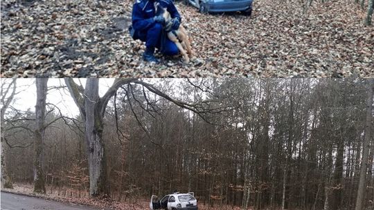 Policyjny pies "odnalazł" sprawcę tej kolizji