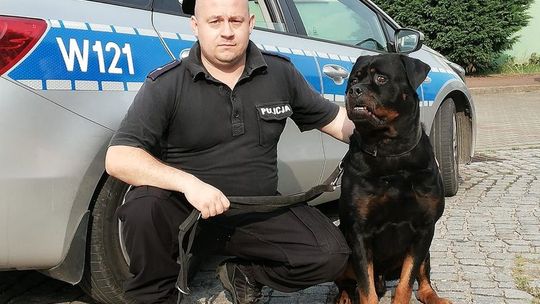 Policyjny pies odnalazł zaginionego