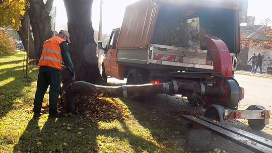 Pomaga im specjalny odkurzacz