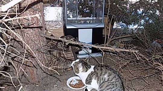 Pomagaj, ale nie bałagań