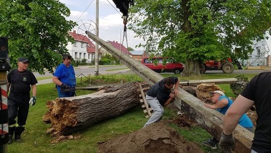 Pomogli w odbudowie zniszczonego bocianiego gniazda [ZDJĘCIA]