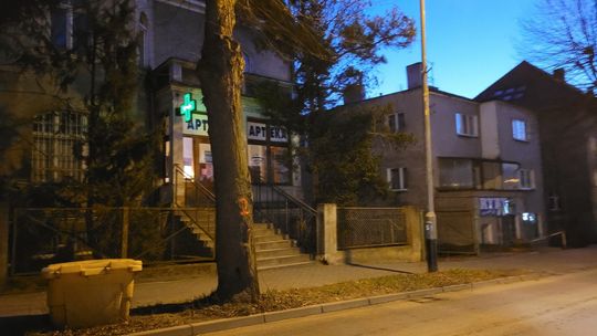 Betonoza postępuje? Los ponumerowanych drzew w rękach urzędników