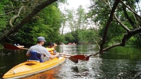 Popłyniemy kajakiem, dojedziemy rowerem, a nawet nowoczesnym autobusem do Szczecina