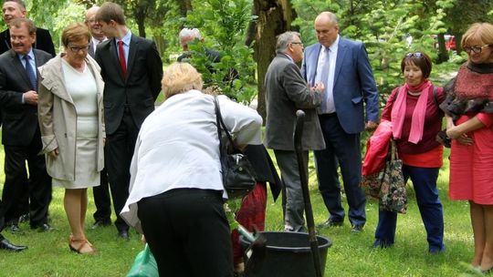 Posadzili dąb w parku