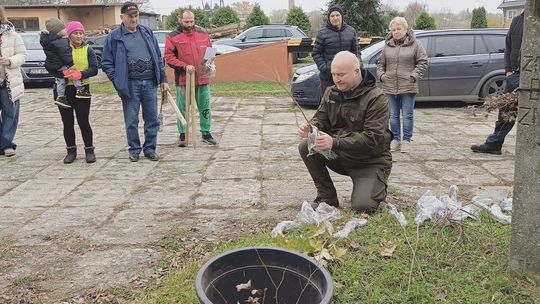 Posadzili drzewa dla swoich dzieci [ZDJĘCIA]