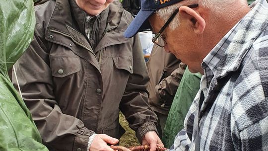 Posadzili drzewa owocowe na terenie Nadleśnictwa Gryfino
