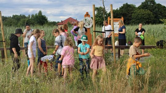 Pospieszyli na ratunek ginącym zapylaczom [FOTO]