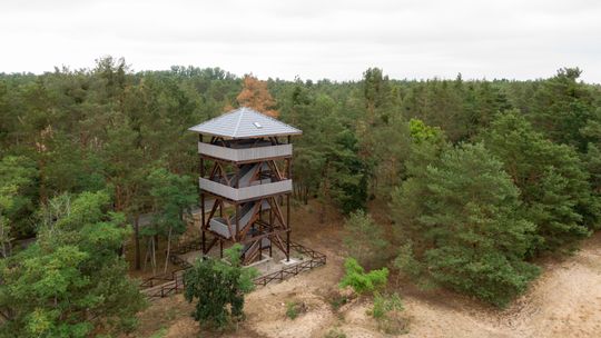 Postawili nową wieżę widokową