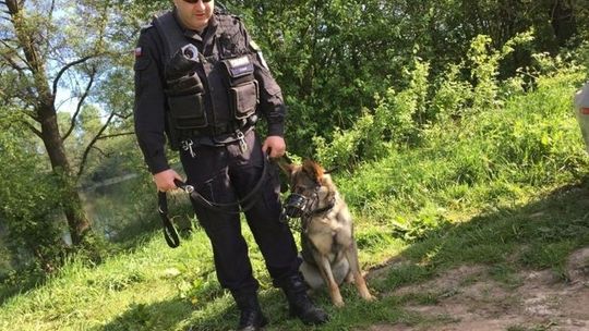 Poszedł do lasu aby... umrzeć