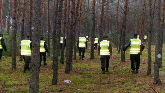 Poszła na grzyby i zgubiła się w lesie