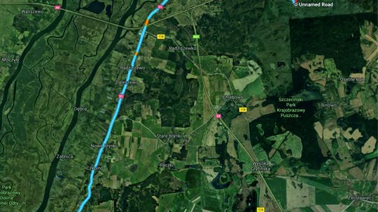 Poszli do lasu sadzić drzewa