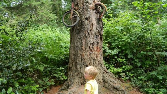 Poszukiwanie dziewczynki w lesie