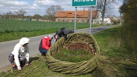 Poszukują najpiękniejszych ogrodów, balkonów i tarasów